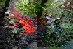 Indonesian authorities find wreckage of missing surveillance plane