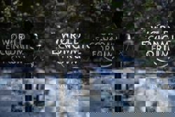 The World Economic Forum: Trump heads into Davos storm, with an eye on home