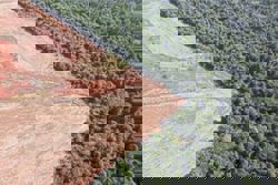 Just as damaging: Clearing small areas of rainforest has outsized climate impact