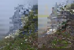 Indonesia says one body found at the wreckage site of missing surveillance plane carrying 10 people