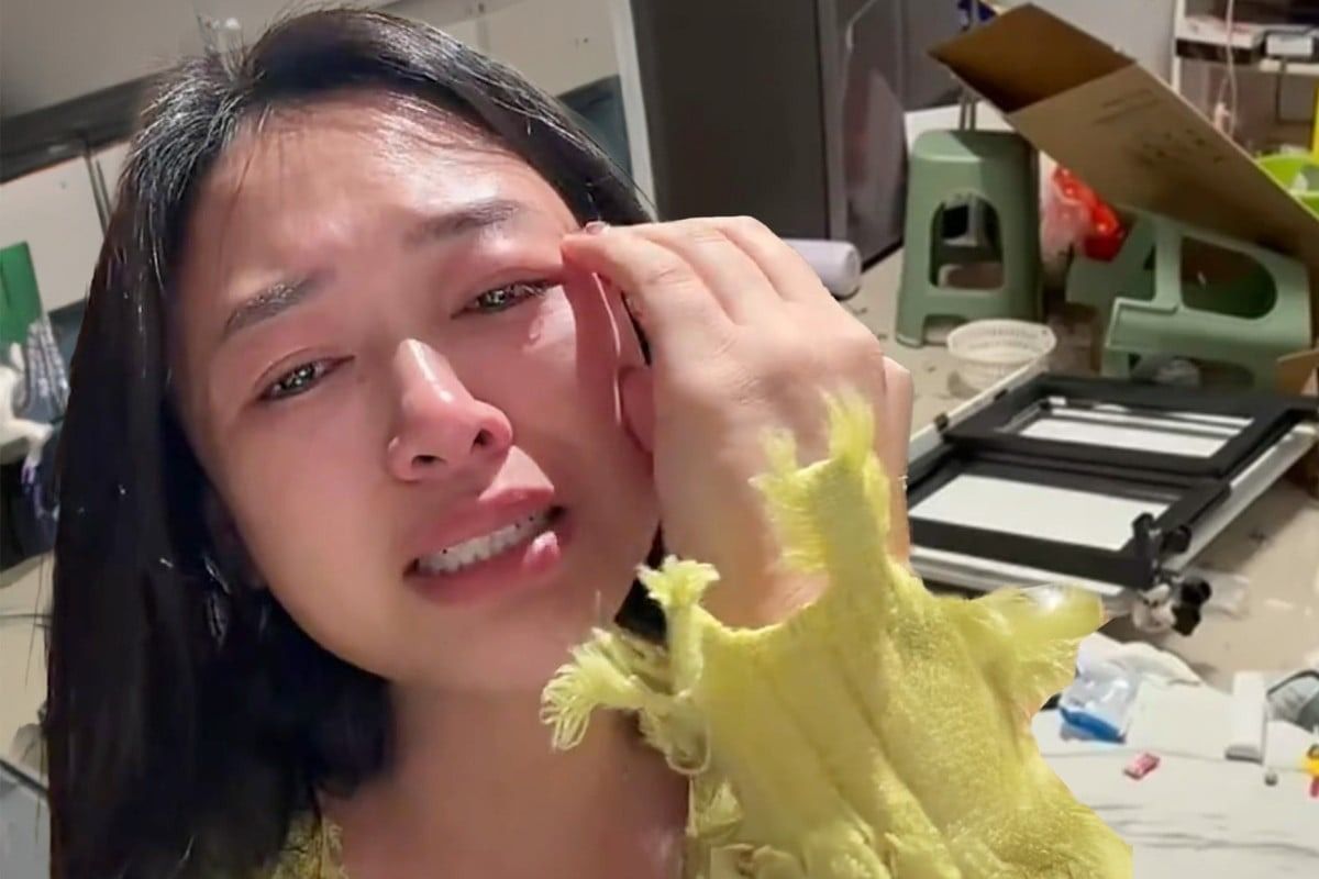 Chinese husband smashes up home after wife buys dishwasher without his consent