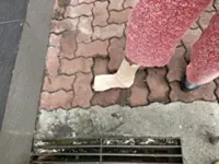 When you fracture your foot 