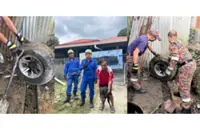 Dog freed after hours with head stuck in tyre rim