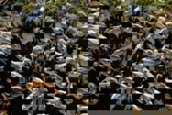 Brazil-China trade hits record US$171bil in 2025 as US tariffs prompt export pivot