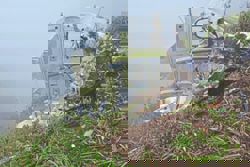 Missing plane wreckage found