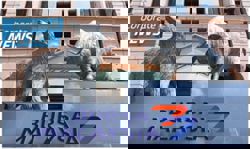 Trading ideas: Binastra, Capital A, Allianz, MN, Vestland, Genting Plantations, YTL Cement, Pimpinan Ehsan, TH Plantations, Marine & General, FGV, SumiSaujana