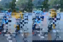 Foreign tourist wraps bananas around body to feed wild monkeys in Danang, Vietnam