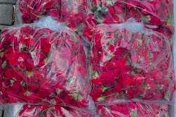 Smuggling by any other name: AKPS seizes 46kg of roses without import permit
