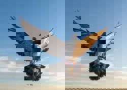 QuickCheck: Did a company once prove that a pigeon was faster than its internet service?