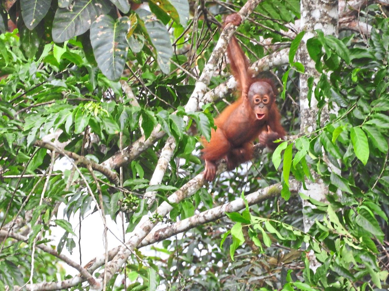 Sorry! Image not available at this time