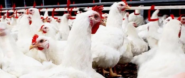 Sorry! Image not available at this time