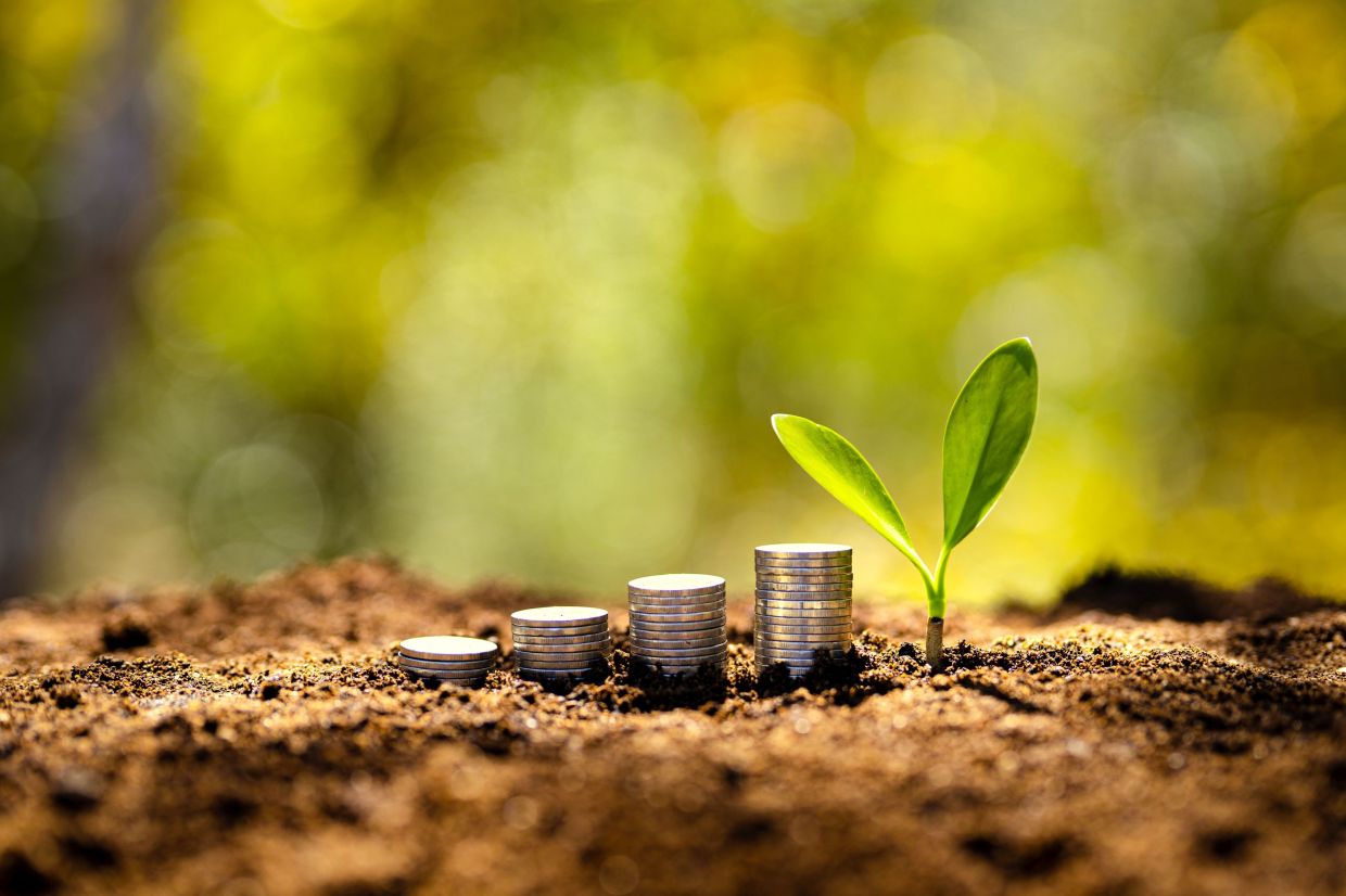 Ecowatch: Malaysia is working on its own green funds