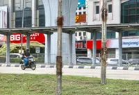 ‘Go after culprits of illegal banners too’