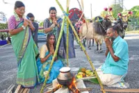 Reaping timeless lesson on gratitude for our food