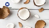 Coconuts might be IOI Corp’s next cash crop