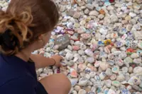 Australia's lower house passes tougher gun control laws in response to Bondi mass shooting