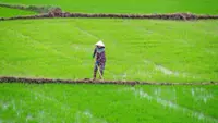 Laos moves to modernise system to boost agricultural trade