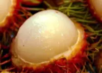 Boy dies choking on rambutan seed