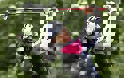 Golf-Thitikul, Hull and Ko among those to join women's indoor golf league