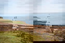 Knitting fans are flocking to Scotland’s rain-swept Shetland Isles