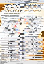Malaysia's total trade in 2025 tops RM3 trillion, E&E drives export growth