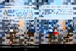 Tech firms are persuading retailers to put AI everywhere