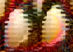 Boy dies choking on rambutan seed