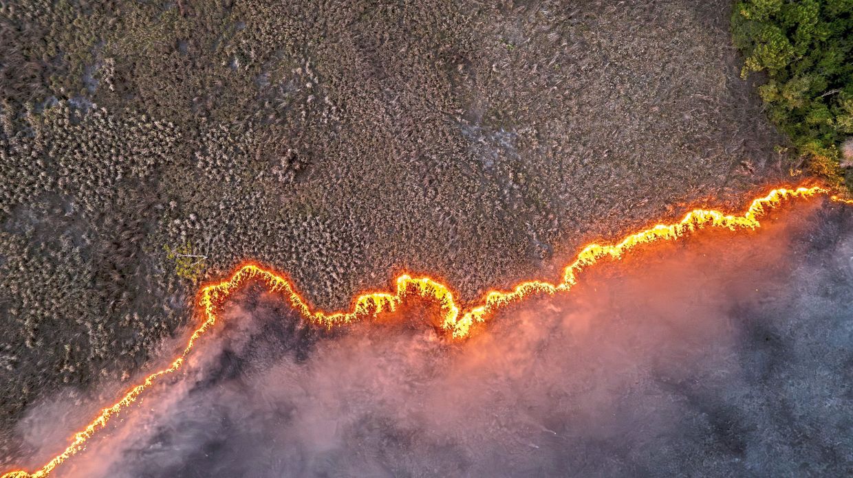 Sorry! Image not available at this time