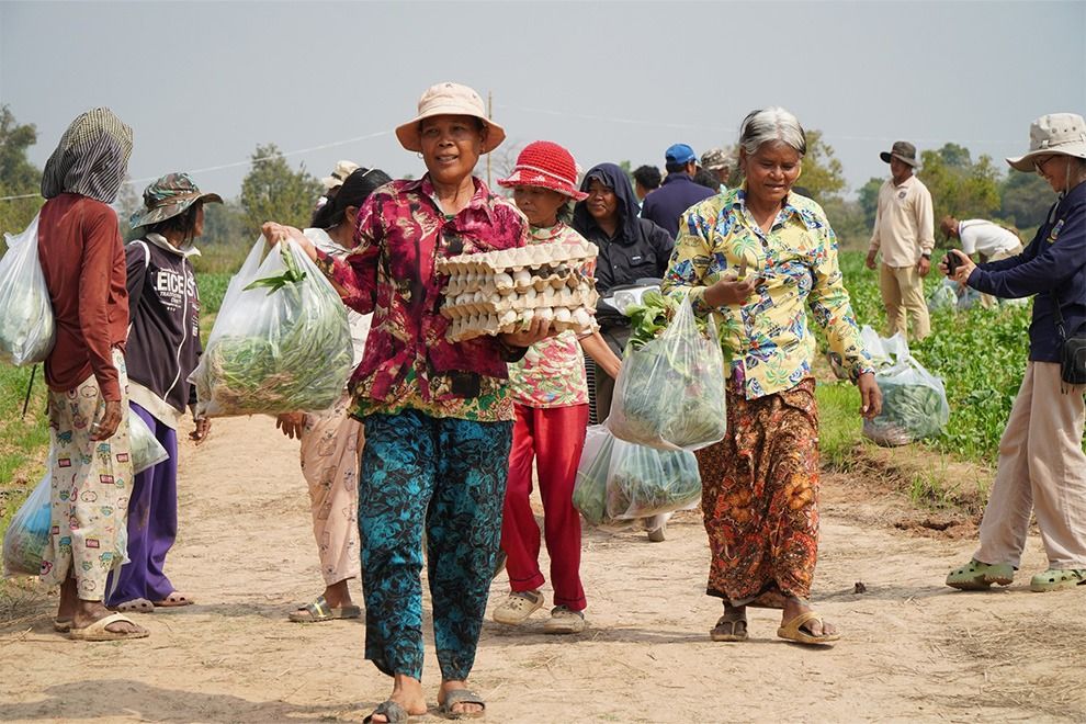 Oddar Meanchey province and local authorities, harvested more than 2,000 kilogrammes of vegetables and 1,500 duck eggs for displaced residents in the province. - Supplied