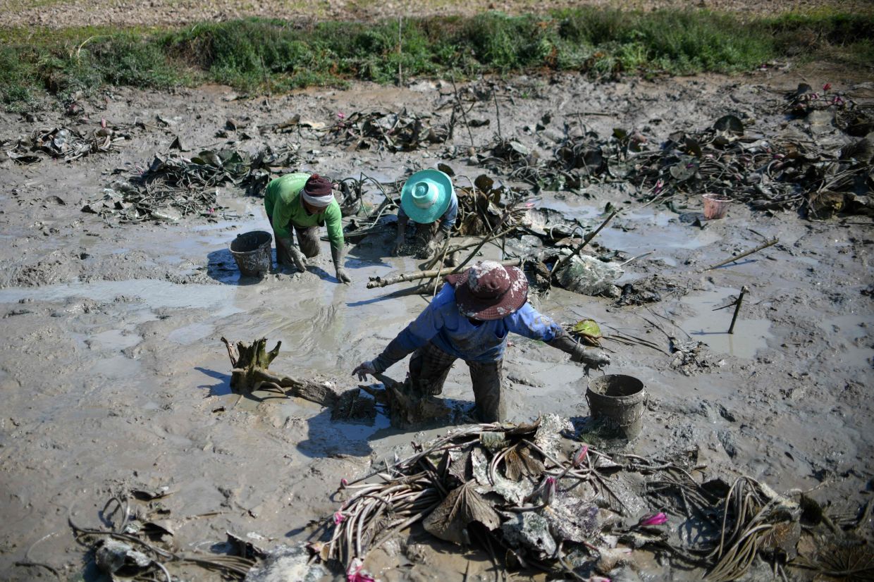 Thai PM orders swift aid disbursement for border victims after Election Commission approval