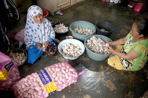 Indonesia aims for garlic self-sufficiency in 2029