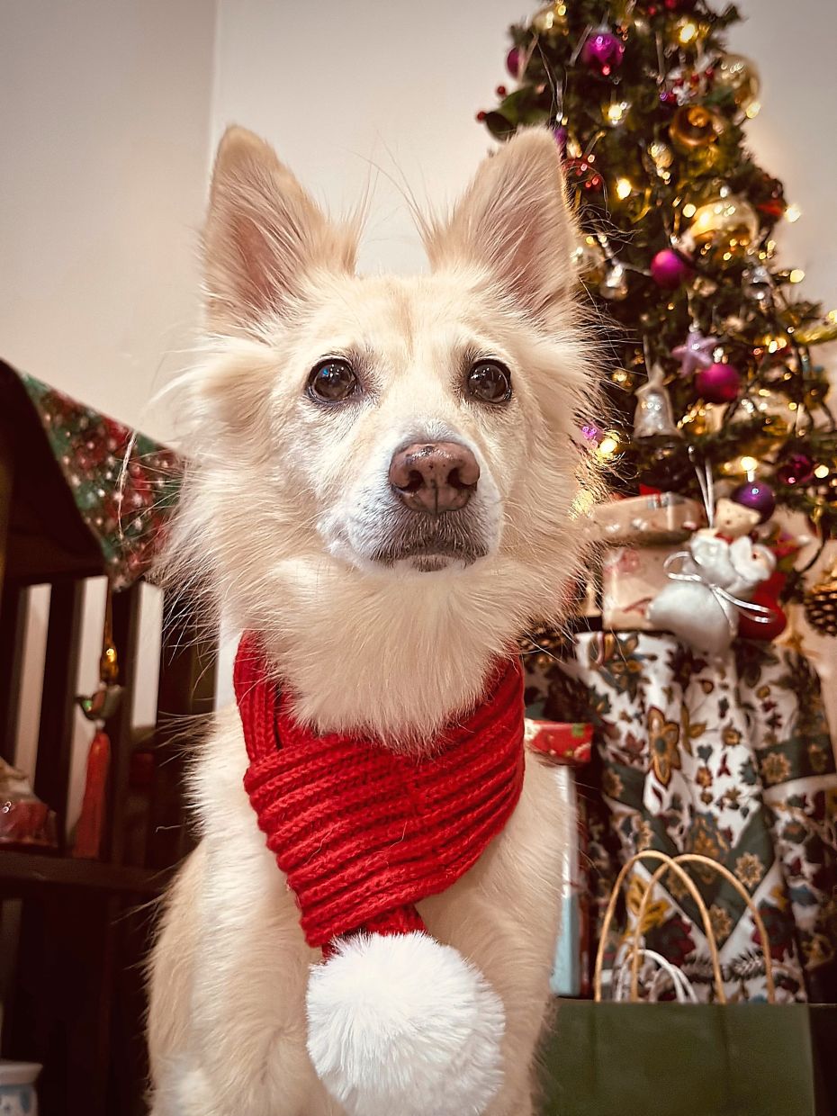 Summer manipulates the softer members of her family and pretends she has no clue what she is doing.