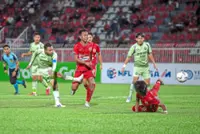 Small cushion for Giants