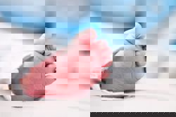 As birth rate drops, Britain will rely on migration to increase population