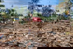 Indonesia revokes permits of 28 firms after deadly floods