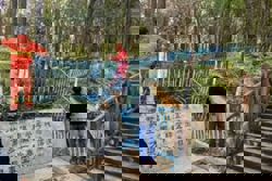 Viral China hiking trail shaped like a horse closed off over safety concerns