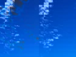 Philippine agencies track suspected Chinese rocket over Palawan skies