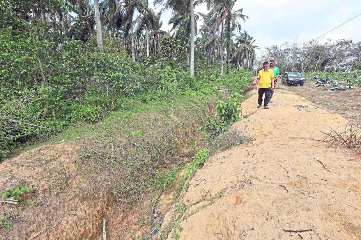 Chee (in yellow) and his worker Mohamad Munhamir inspecting the drain dug to keep elephants from raiding his farm.