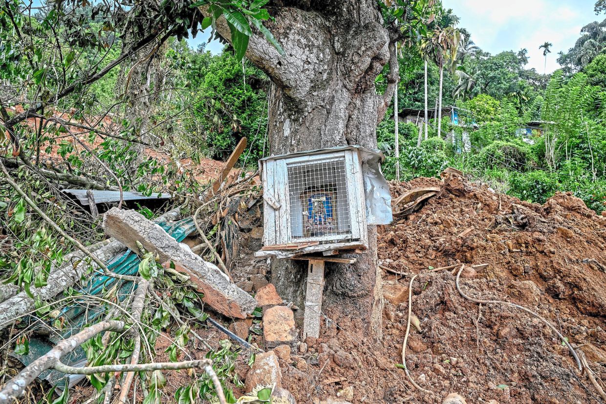 A mango tree with a small temple attached was spared even though it was in the landslide’s path. — Atul Loke/The New York Times