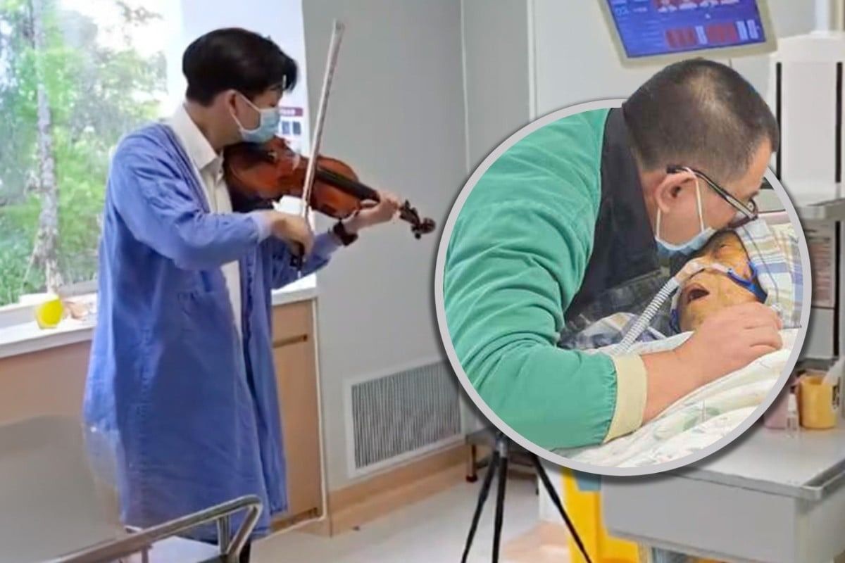 China son invites violinist to play for terminally ill mum in hospital to give her strength