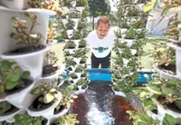 Malaysian paraplegic agriculturist builds regenerative food forest for KL community