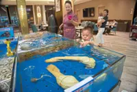 Inbound tourism heats up in China’s Hainan Free Trade Port