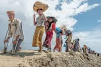 Jan 1st birthday for everyone