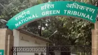 India's National Green Tribunal seeks accountability after techie’s death in waterlogged Noida site, flags environmental lapses