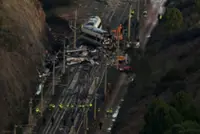 Dog missing in Spanish train crash rescued after four days