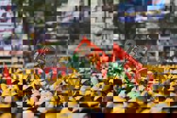 Bangladesh launches campaigns for first post-Hasina polls