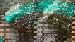 India's National Green Tribunal seeks accountability after techie’s death in waterlogged Noida site, flags environmental lapses