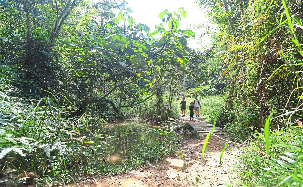 Illegal entry, development taking toll on research forest