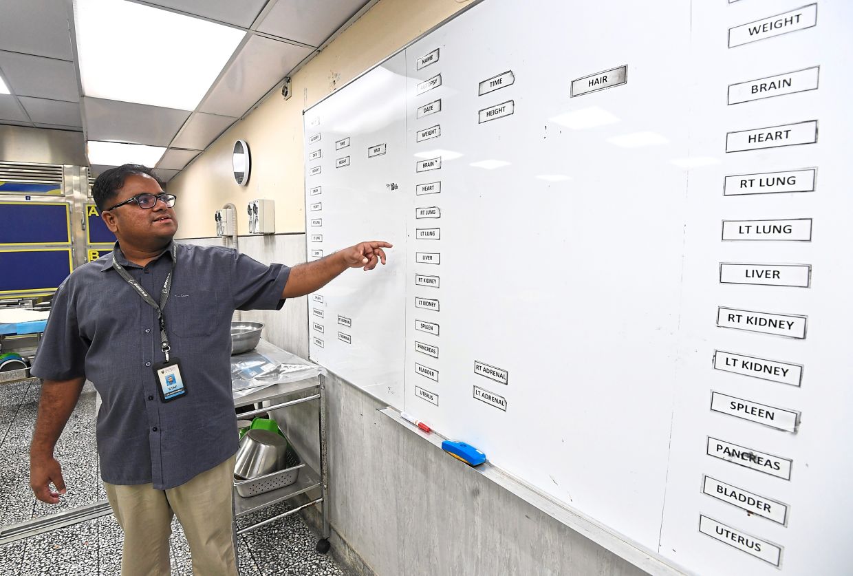 Dr Shatishraj showing the board where his team records measurements from tissue samples collected.