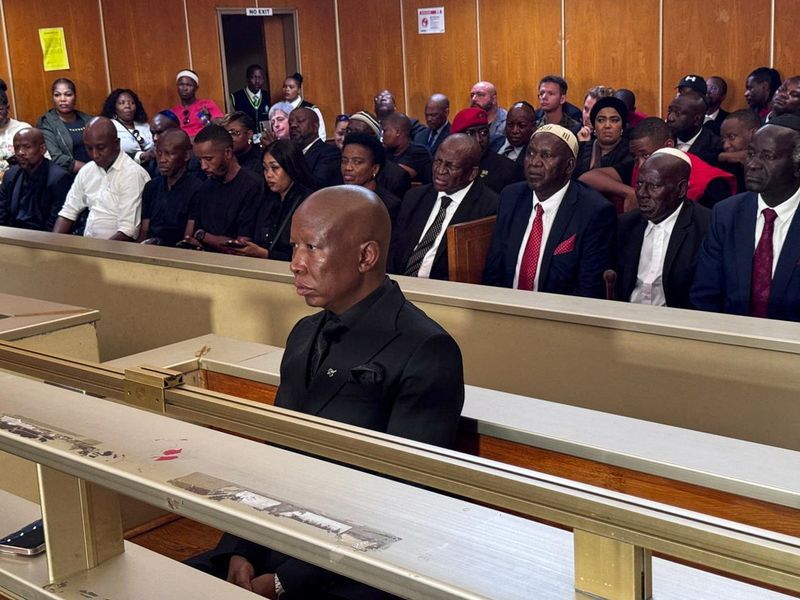 Supporters gather as South African politician Malema awaits sentence in firearm case